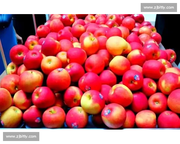 边线突破技巧解析与实战应用提升球场突破能力的全面指南